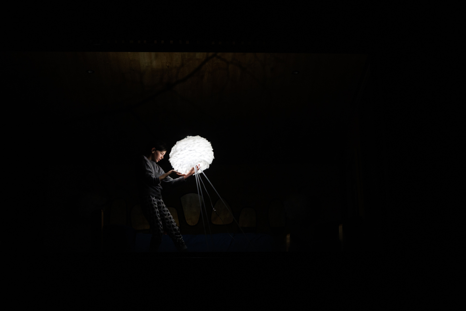 TL860_lune_bonneannee_240102_3494