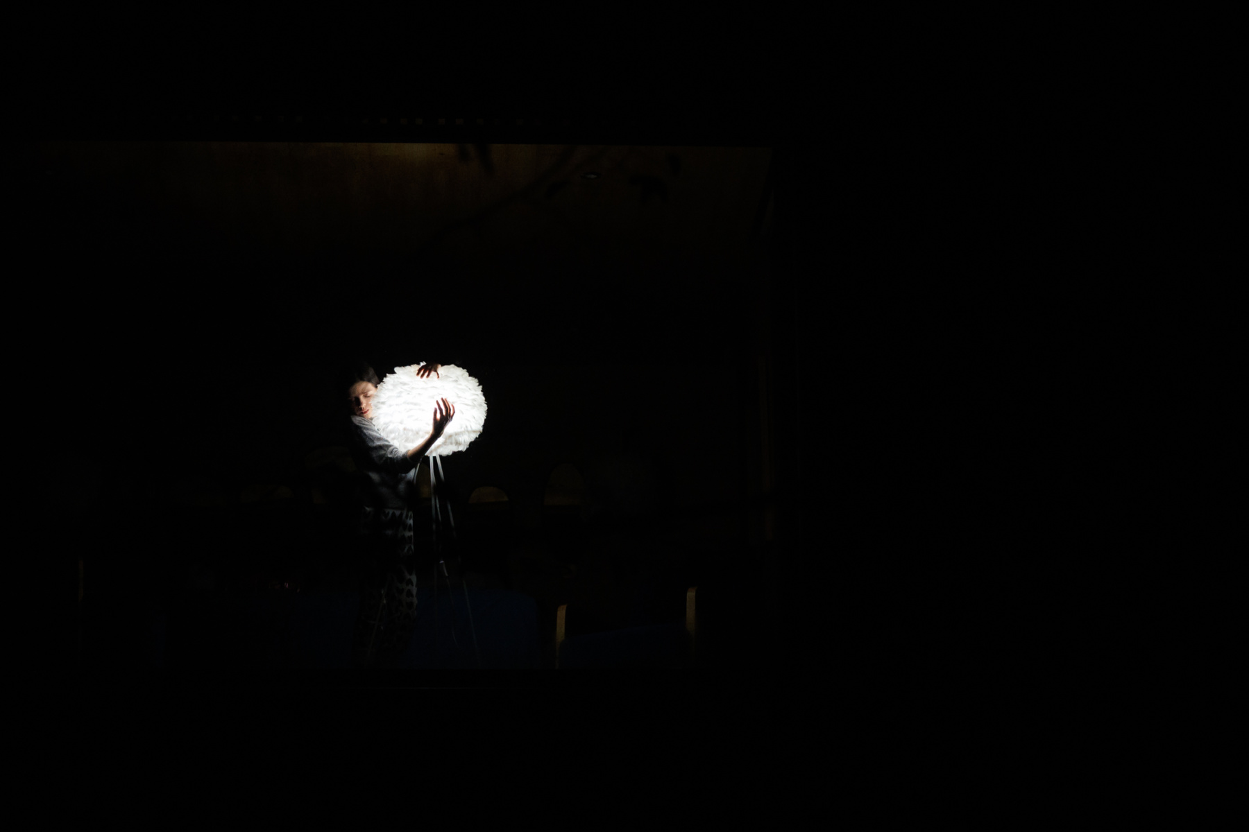 TL860_lune_bonneannee_240102_3502